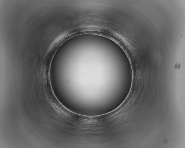 X0000097801403200803141044