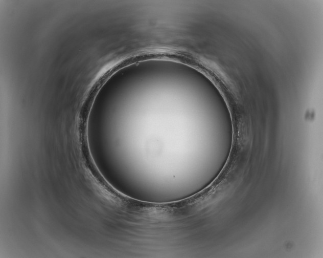 X0000097801404200803141044