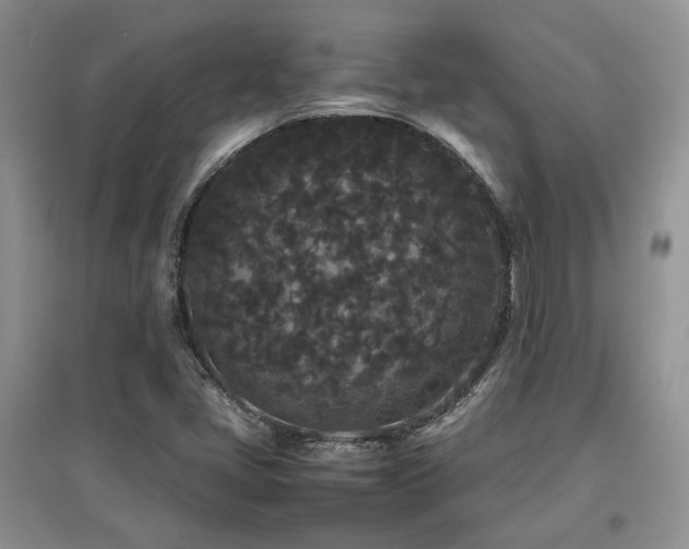X0000097801405200803141044