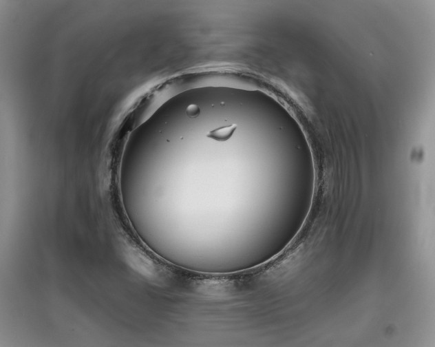 X0000097801406200803141044