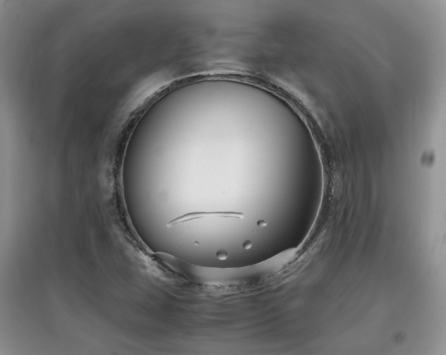 X0000097801407200803141044