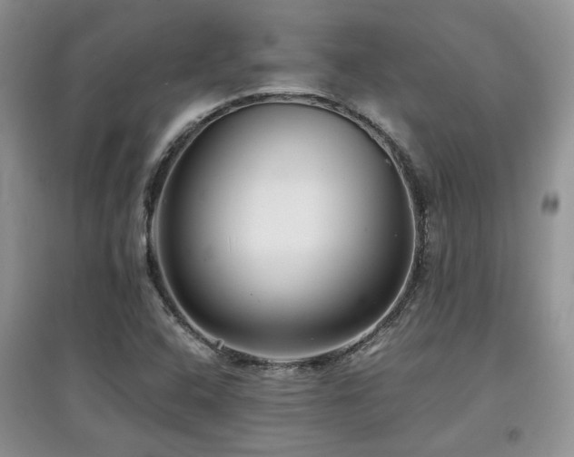 X0000097801408200803141044