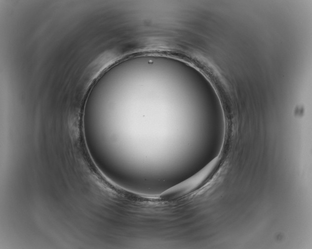 X0000097801409200803141044