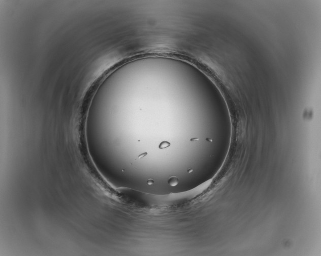 X0000097801410200803141044