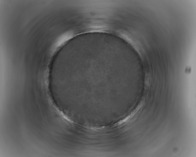 X0000097801411200803141044