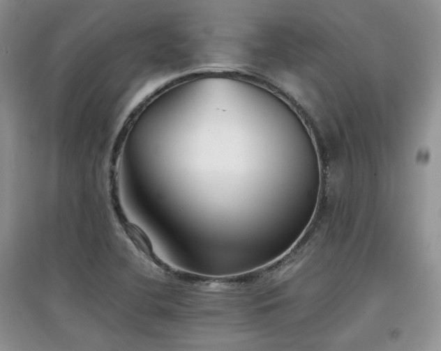 X0000097801412200803141044