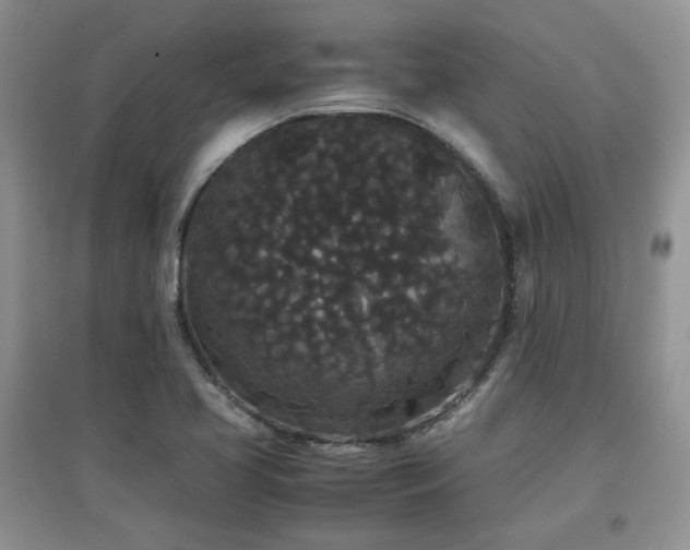 X0000097801413200803141044