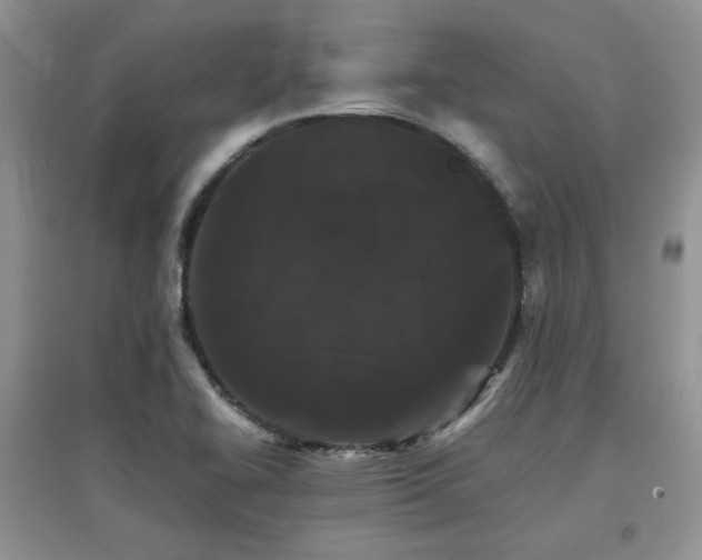 X0000097801414200803141044