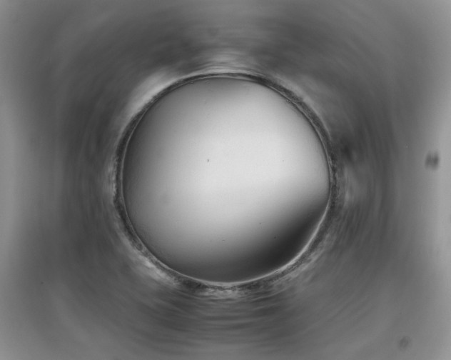 X0000097801415200803141044