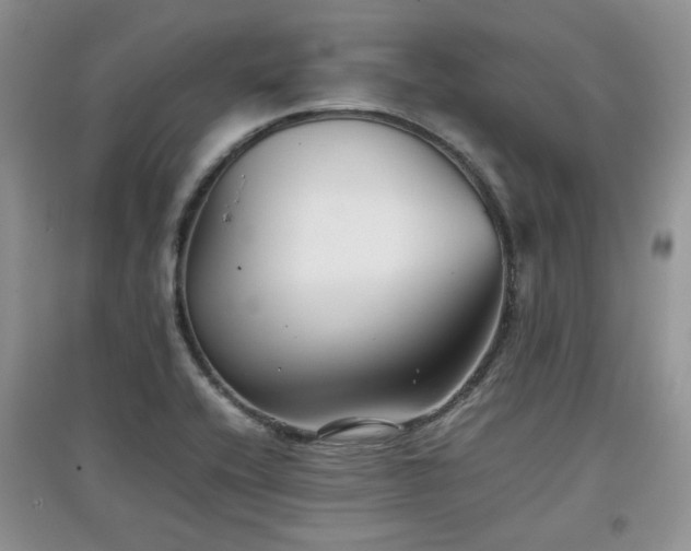 X0000097801416200803141044