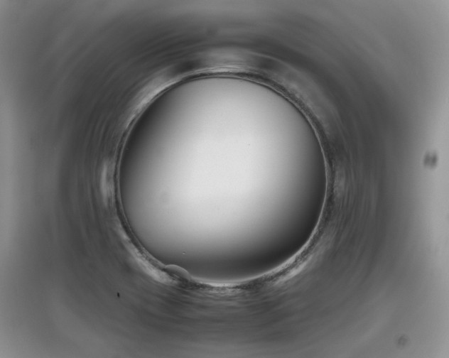 X0000097801417200803141044