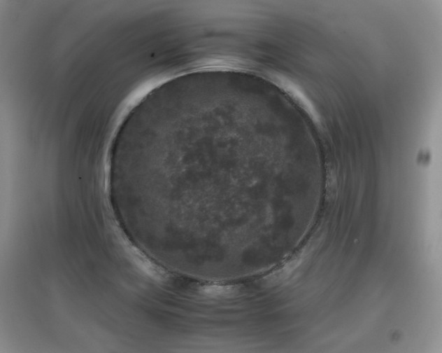 X0000097801419200803141044