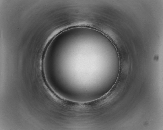 X0000097801420200803141044