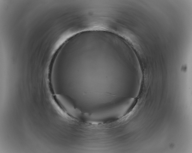 X0000097801422200803141044