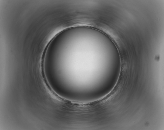 X0000097801423200803141044