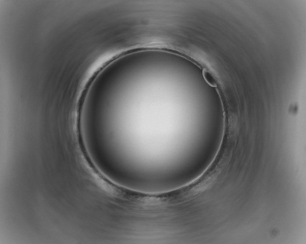 X0000097801424200803141044