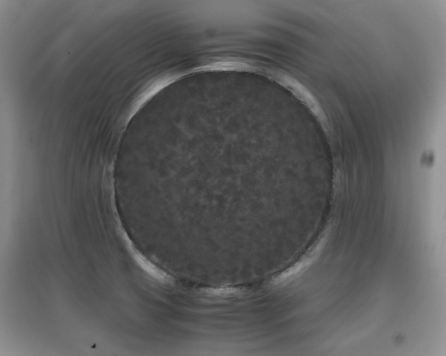 X0000097801425200803141044