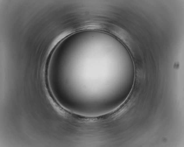 X0000097801426200803141044