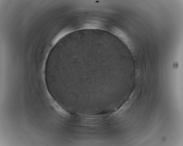 X0000097801427200803141044