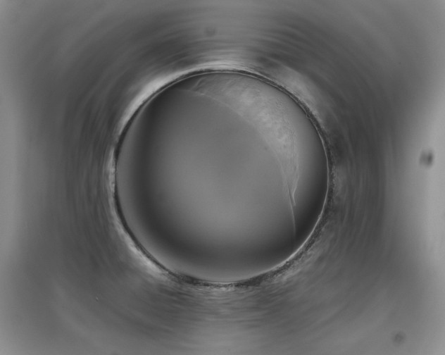 X0000097801428200803141044