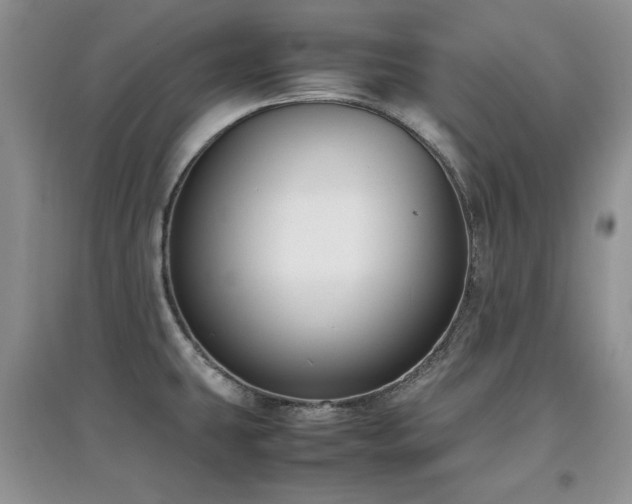 X0000097801431200803141044