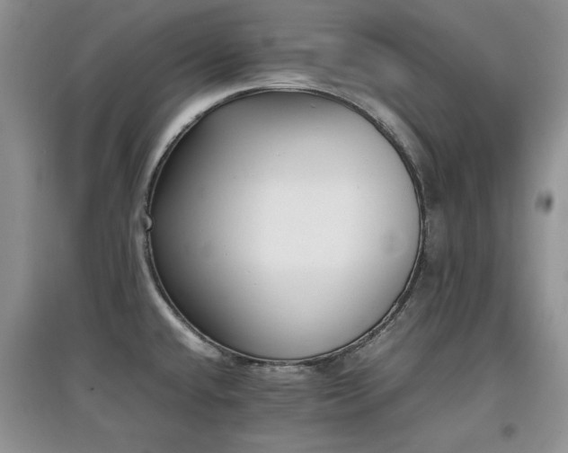 X0000097801432200803141044