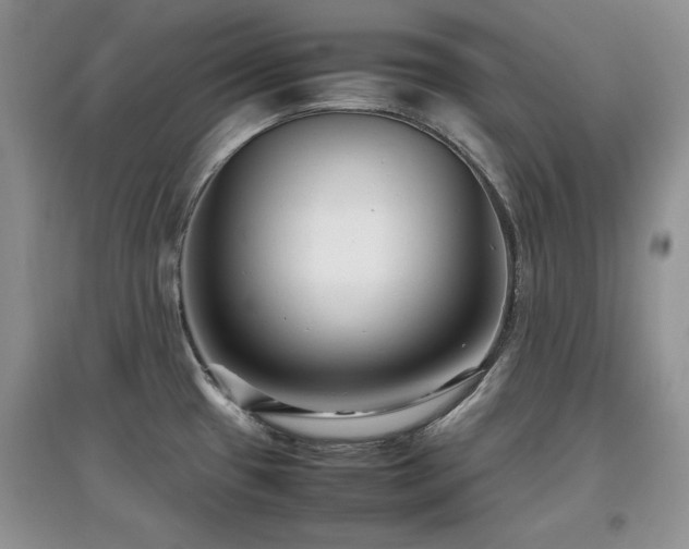 X0000097801433200803141044