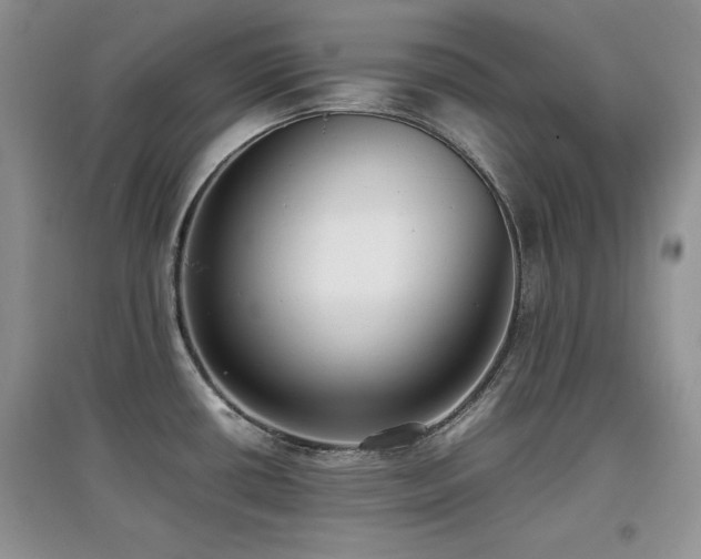 X0000097801434200803141044