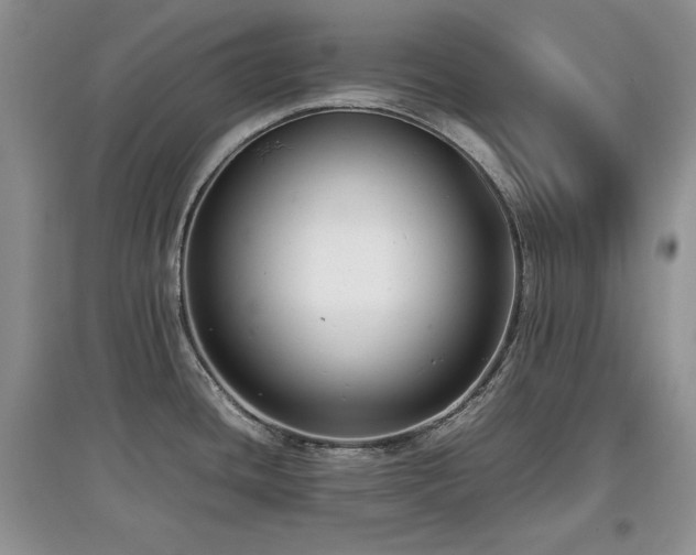 X0000097801436200803141044