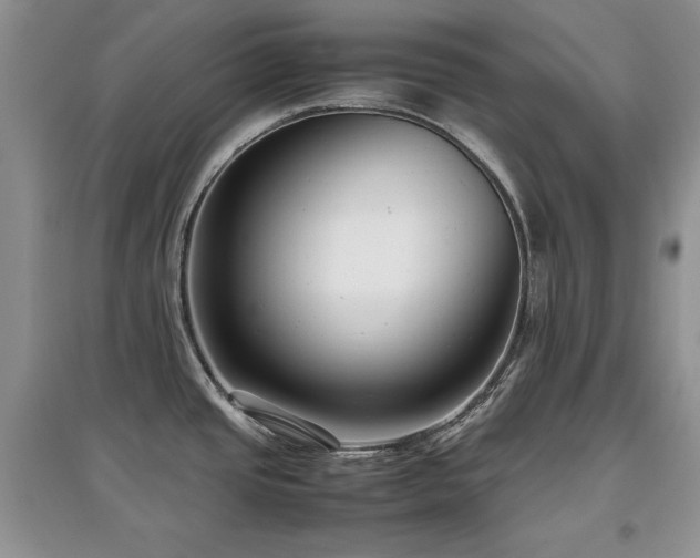 X0000097801437200803141044