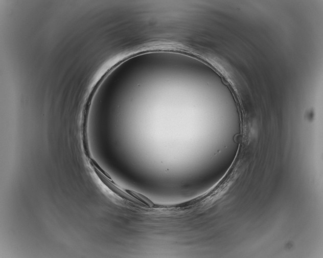 X0000097801438200803141044