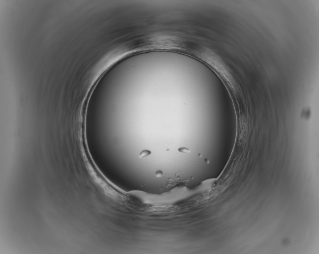 X0000097801439200803141044