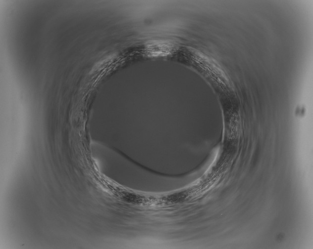 X0000097801441200803141043