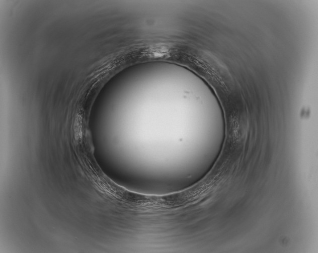 X0000097801442200803141043