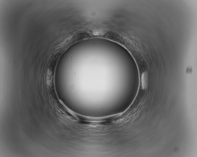 X0000097801443200803141043