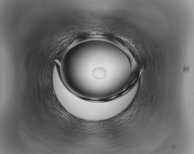 X0000097801444200803141043