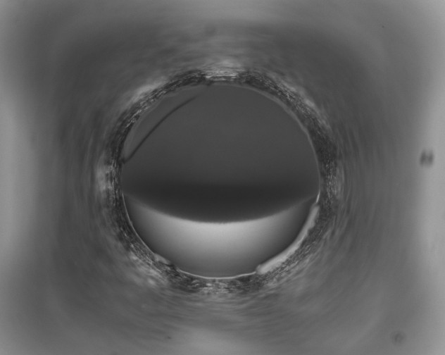 X0000097801445200803141043