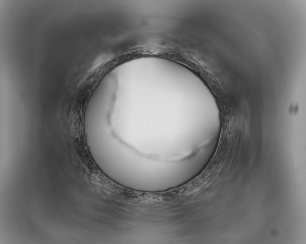 X0000097801446200803141043