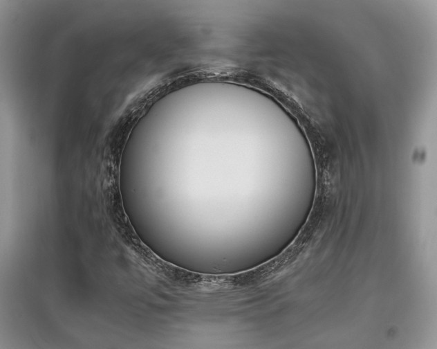 X0000097801447200803141043