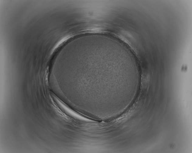 X0000097801450200803141043