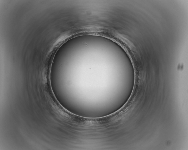 X0000097801451200803141043