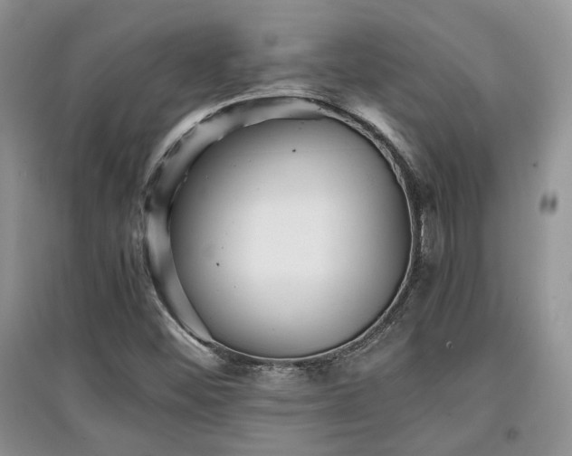 X0000097801452200803141043