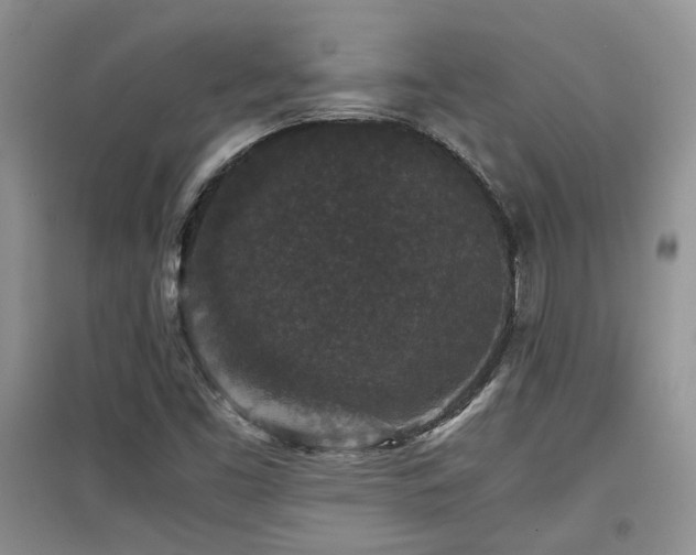 X0000097801453200803141043