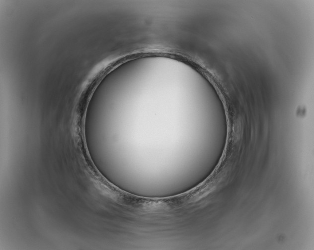 X0000097801454200803141043