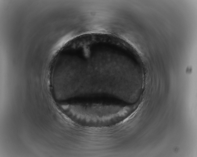 X0000097801455200803141043