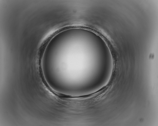 X0000097801456200803141043