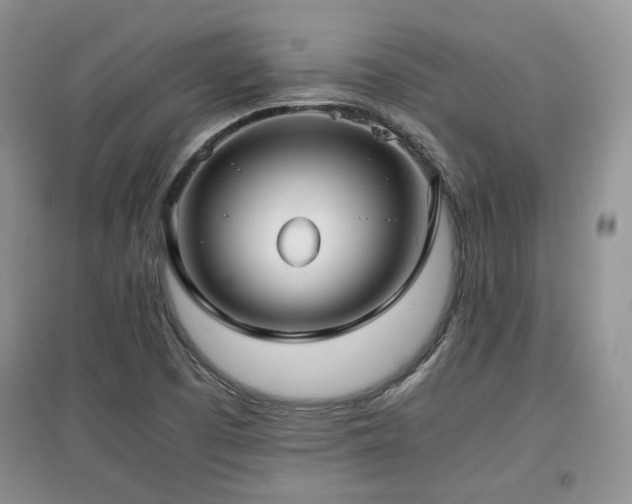 X0000097801457200803141043