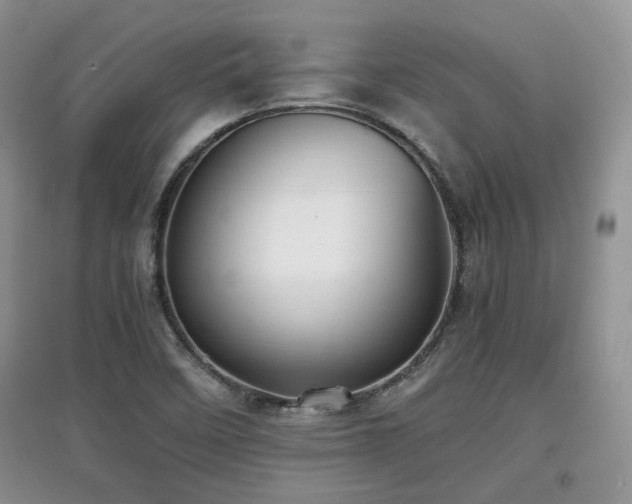 X0000097801458200803141043