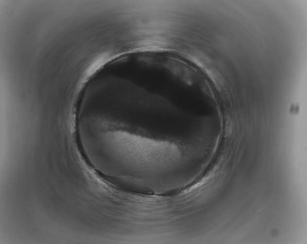 X0000097801459200803141043