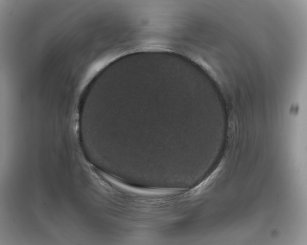X0000097801461200803141043